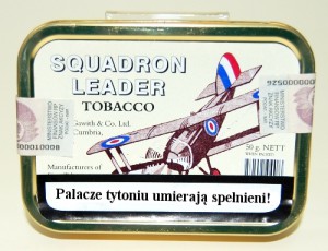 Squadron Leader – raport z misji zwiadowczej
