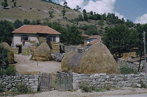 Bałkańskie gospodarstwo